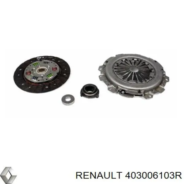 Купити 403006103R Renault (RVI) 