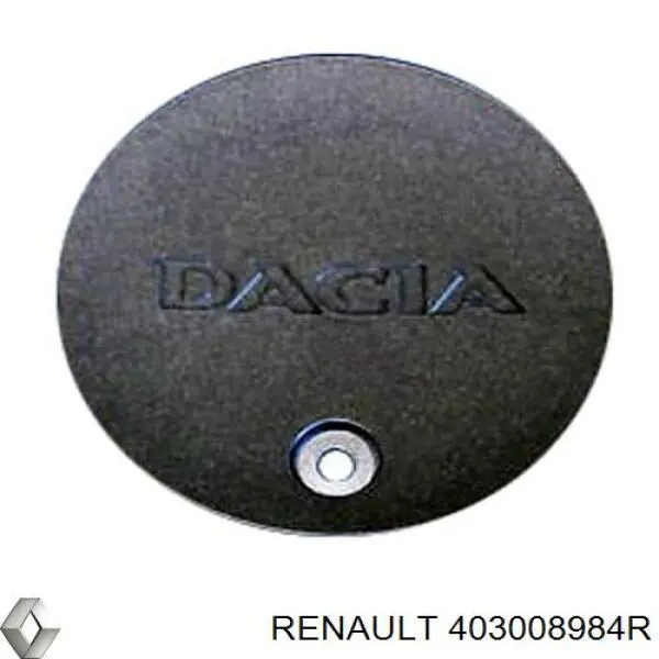  Renault (RVI) 403008984R ціна, від 135.17 USD