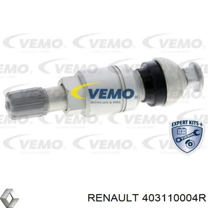 403110004R Renault (RVI) 