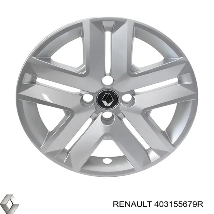  403155679R Renault (RVI)