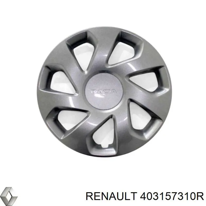  403157310R Renault (RVI)