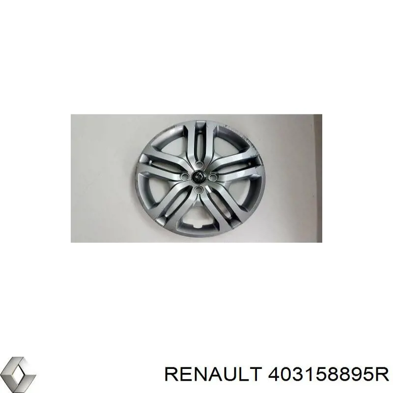 403158895R Renault (RVI) Ковпаки на колеса