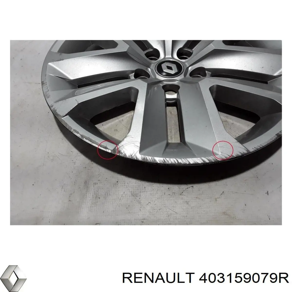  403159079R Renault (RVI)