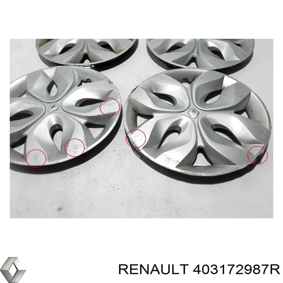  403172987R Renault (RVI)