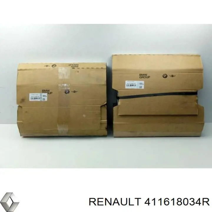 Захист гальмівного диска, переднього, лівого 411618034R Renault (RVI)