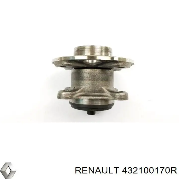 Маточини задніх коліс Renault (RVI) 432100170R ціна, від 64.01 USD