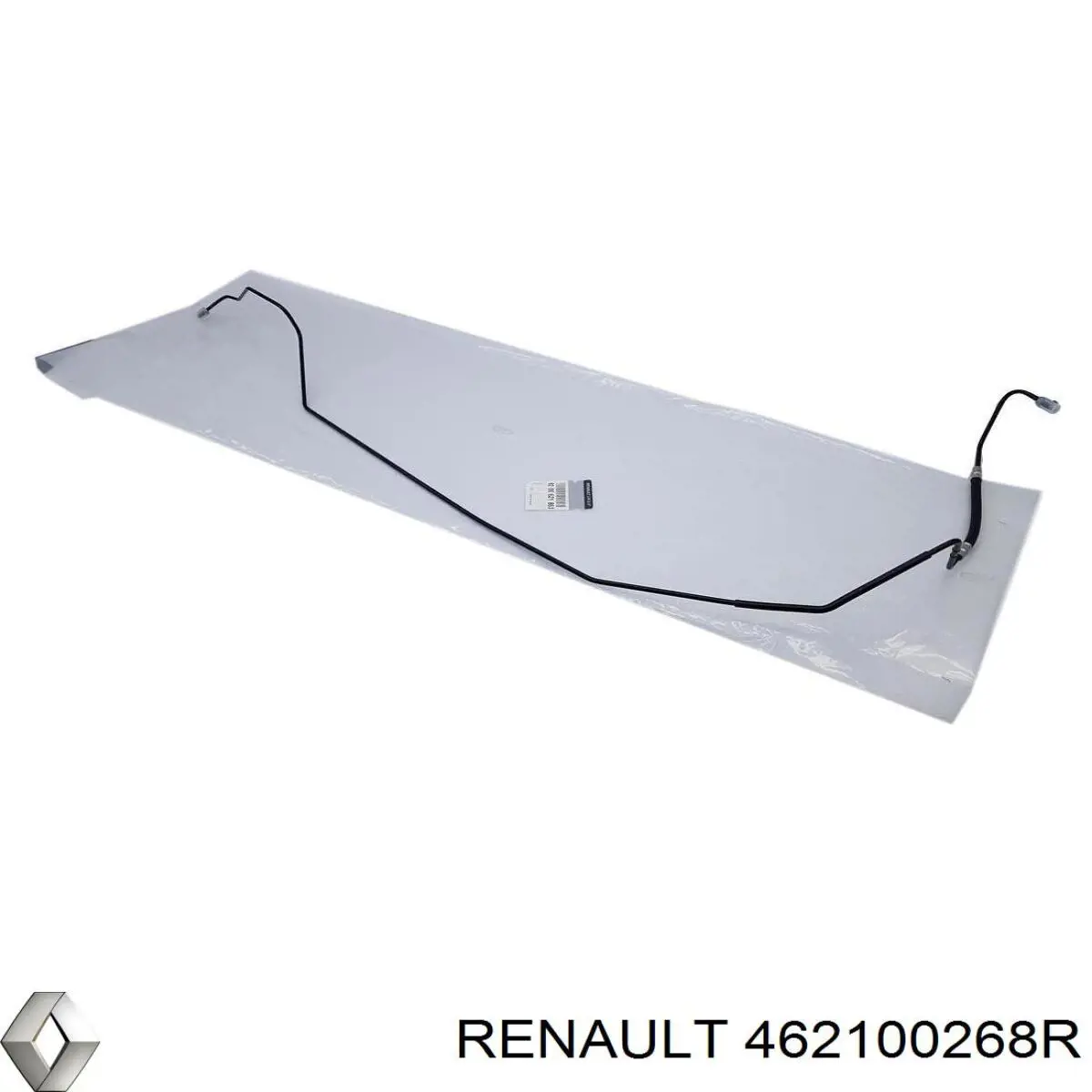 Гнучка гальмівна трубка задня Renault (RVI) 462100268R