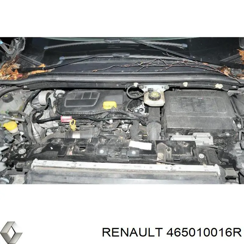 Педаль гальма Renault (RVI) 465010016R ціна, від 22.55 USD