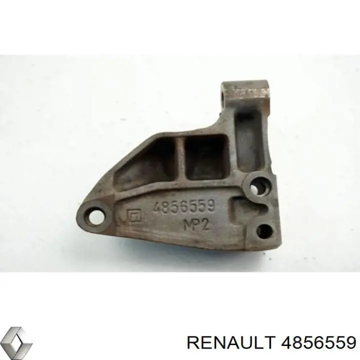 4856559 Renault (RVI) 