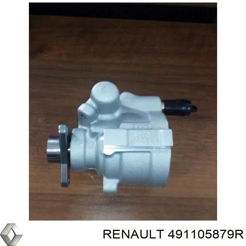  491105879R Renault (RVI)