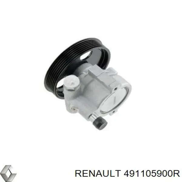  491105900R Renault (RVI)