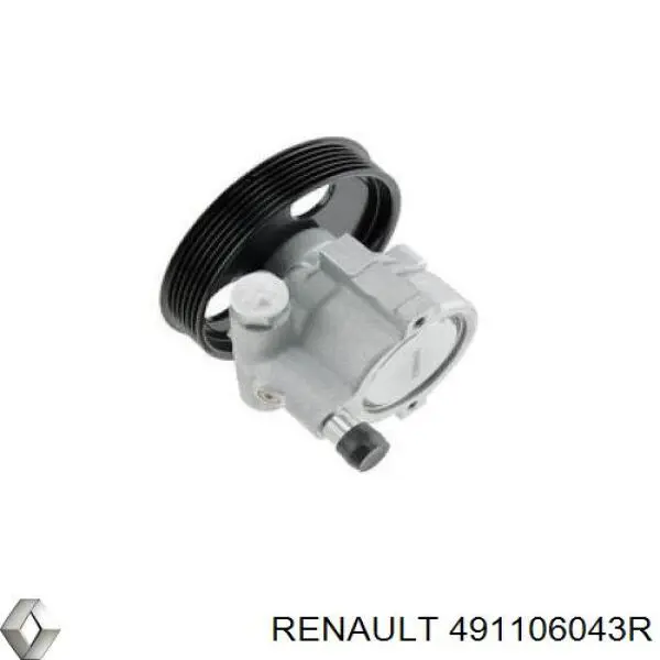  491106043R Renault (RVI)