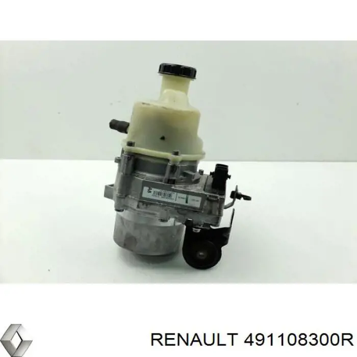 491108300R Renault (RVI) Насос гідропідсилювача