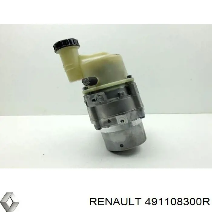Насос ГПК Renault (RVI) 491108300R ціна, від 508.94 USD