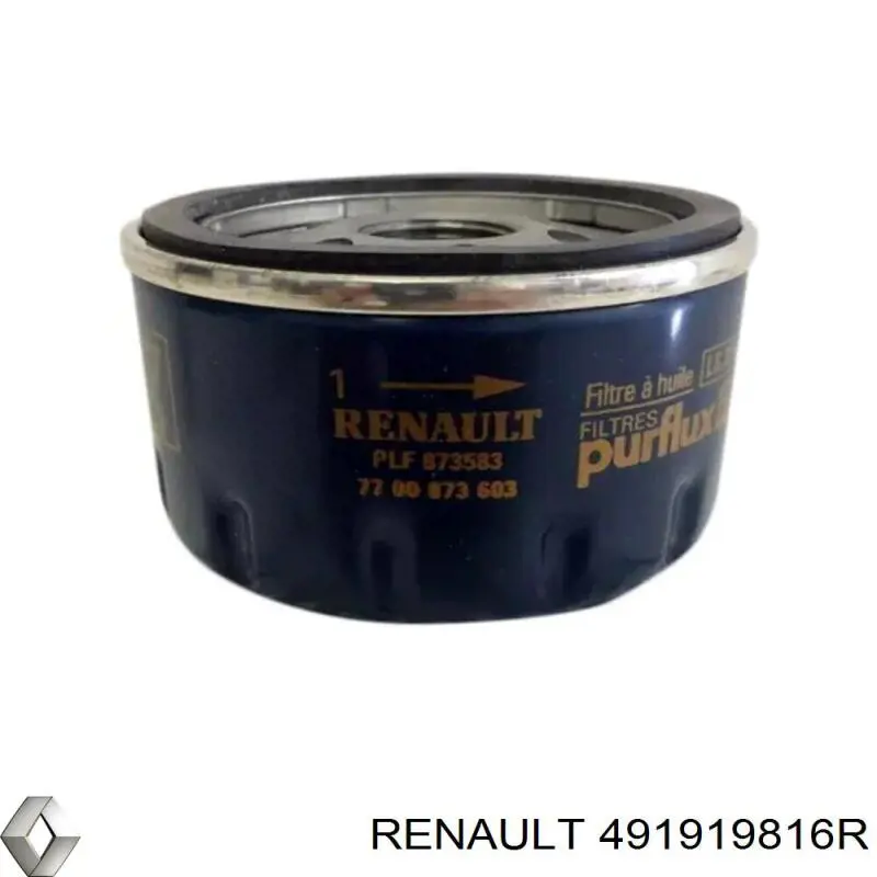 Купити 491919816R Renault (RVI) 