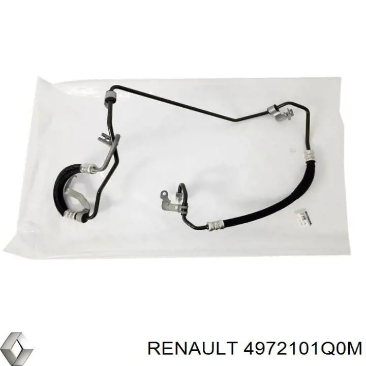 4972101Q0M Renault (RVI) 