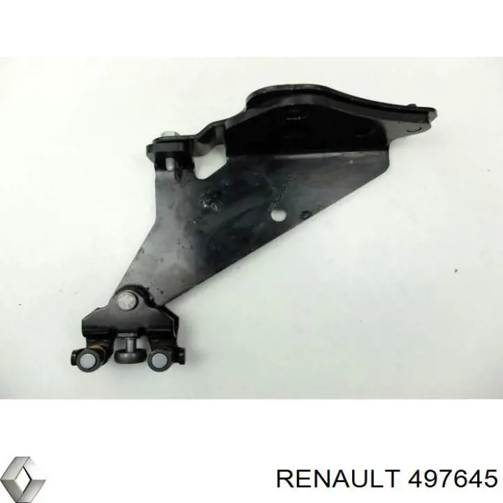  497645 Renault (RVI)