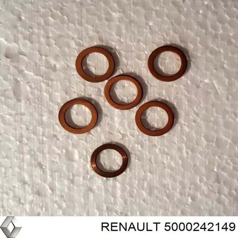  5000242149 Renault (RVI)