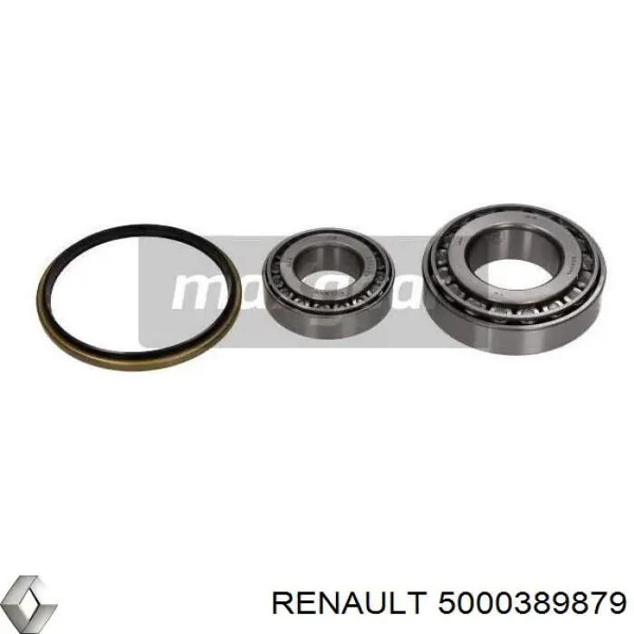 Купити 5000389879 Renault (RVI) 
