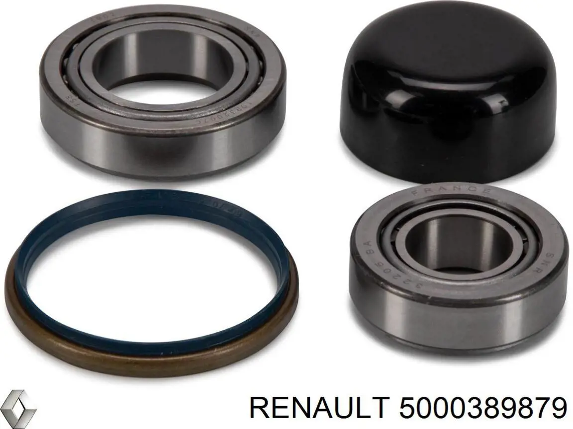  Renault (RVI) 5000389879 ціна, від 16.30 USD