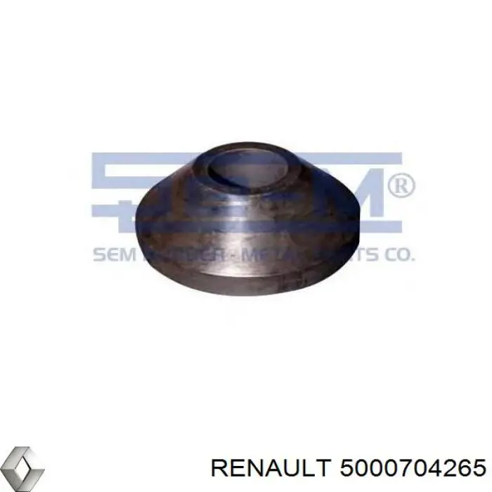 Подушка двигуна передня 5000704265 Renault (RVI)
