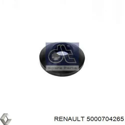  5000704265 Renault (RVI)