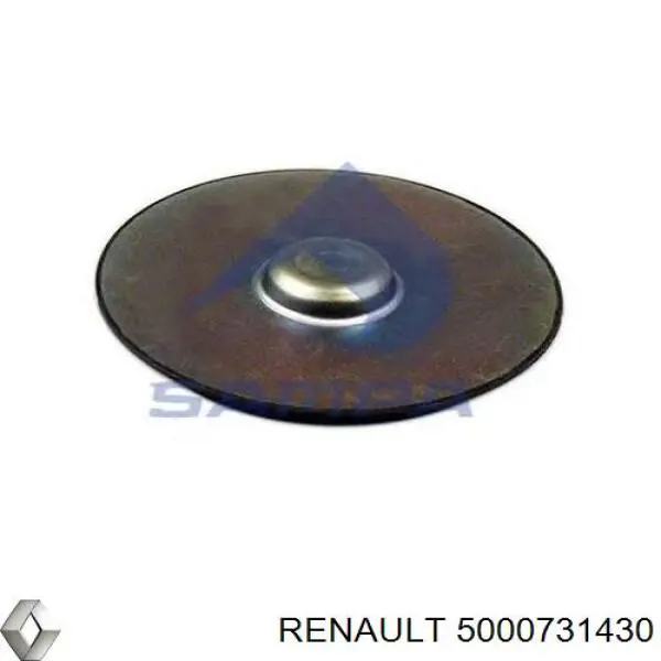  5000731430 Renault (RVI)