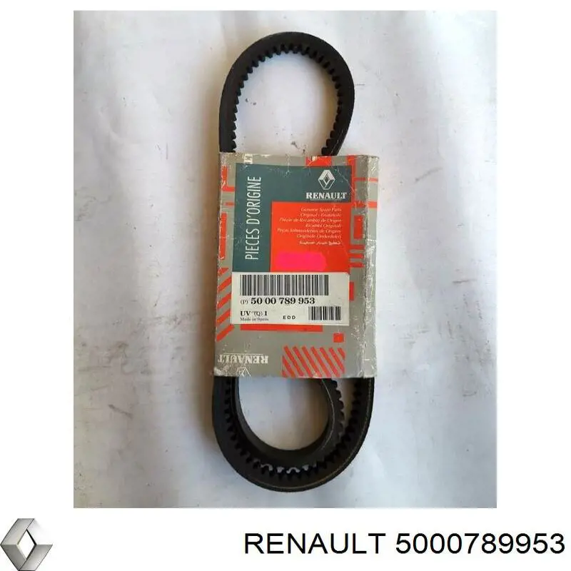  5000789953 Renault (RVI)