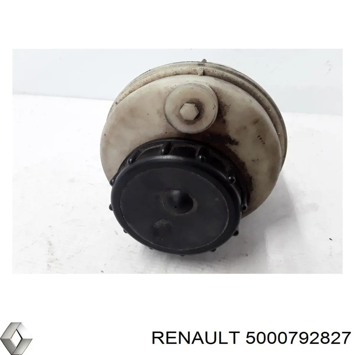  Renault (RVI) 5000792827 ціна, від 8.74 USD