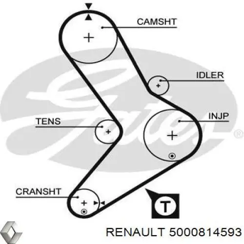 Ремінь ГРМ 5000814593 Renault (RVI)