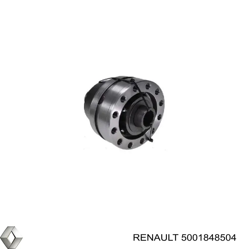  5001848504 Renault (RVI)