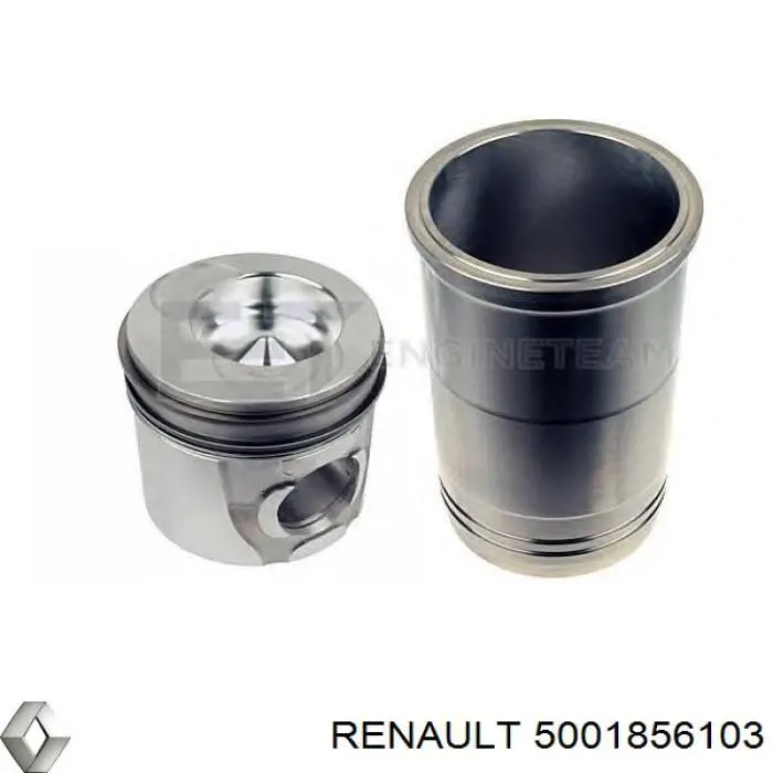  5001856103 Renault (RVI)