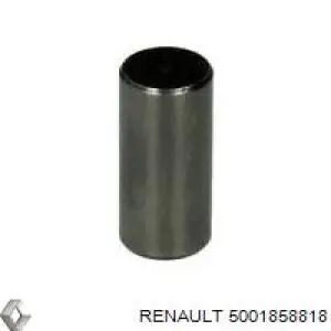  5001858818 Renault (RVI)