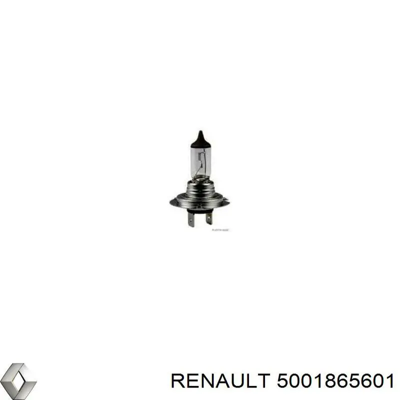 Лампочка галогенна 5001865601 Renault (RVI)