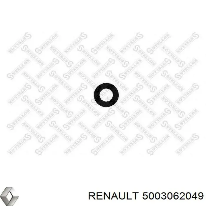 5003062049 Renault (RVI) Ущільнювальне кільце, універсальне