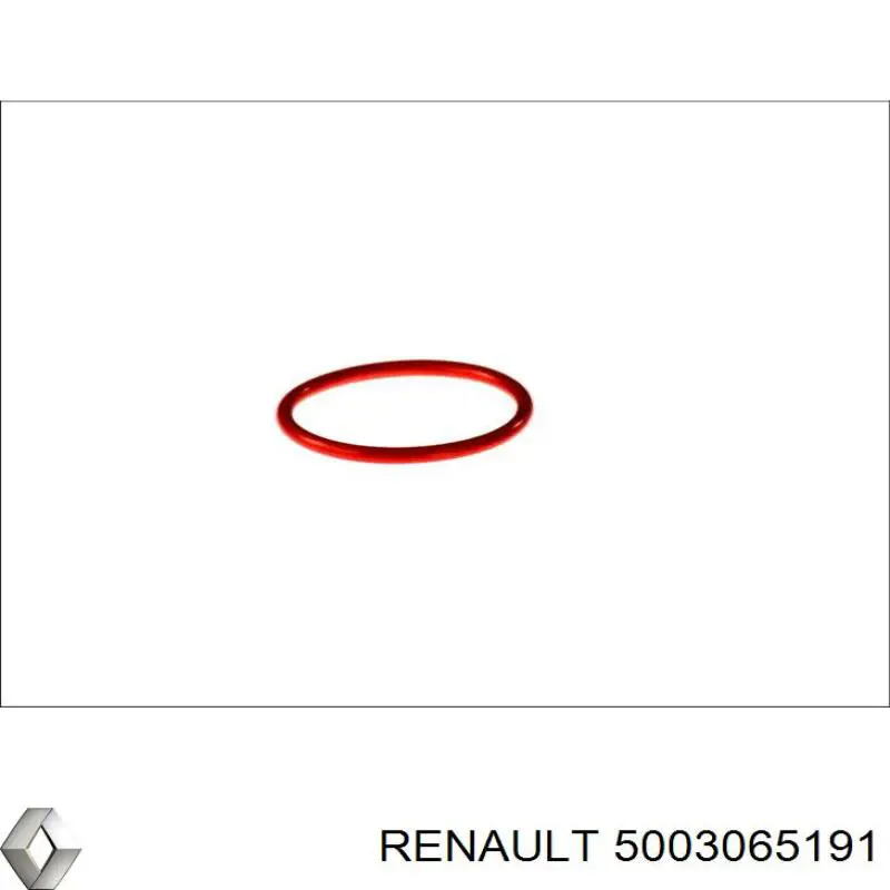 Купити 5003065191 Renault (RVI) Шайба форсунки верхня