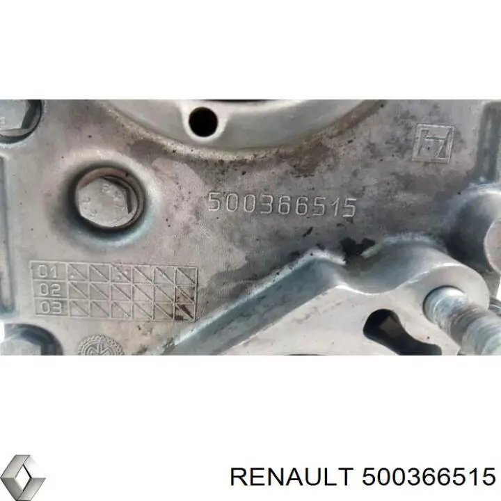  500366515 Renault (RVI)