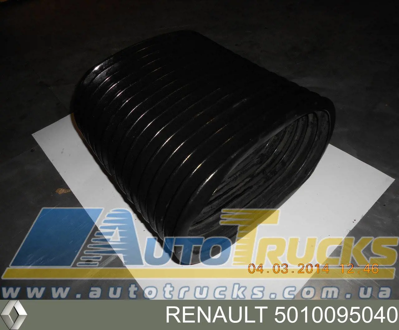  5010095040 Renault (RVI)