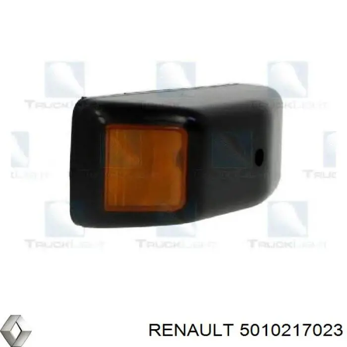 5010217023 Renault (RVI) покажчик повороту лівий/правий