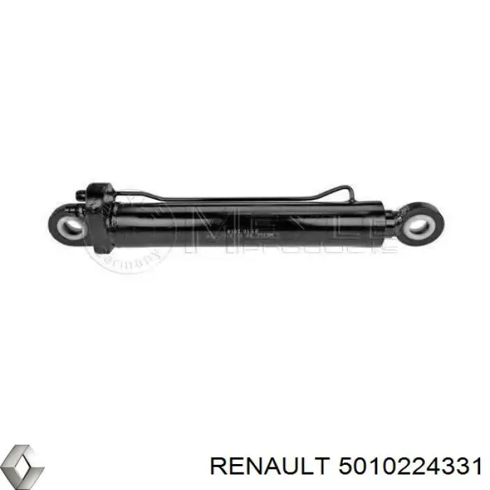  5010224331 Renault (RVI)