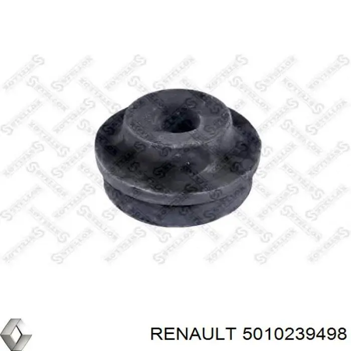  5010239498 Renault (RVI)