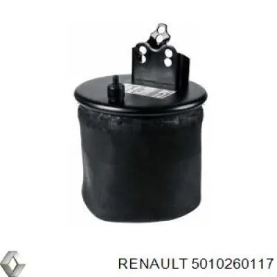 Тріскачка гальмівна, заднього моста Renault (RVI) 5010260117 ціна, від 59.94 USD