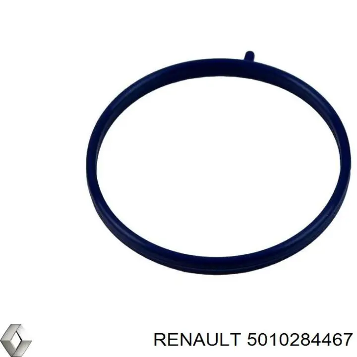 5010284733 Renault (RVI) сальник клапана (маслознімний, впуск/випуск)
