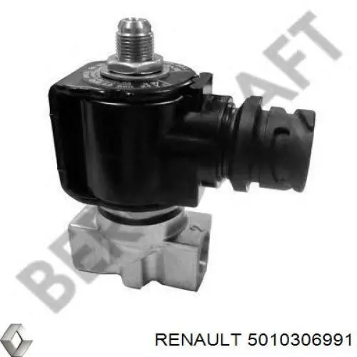  5010306991 Renault (RVI)