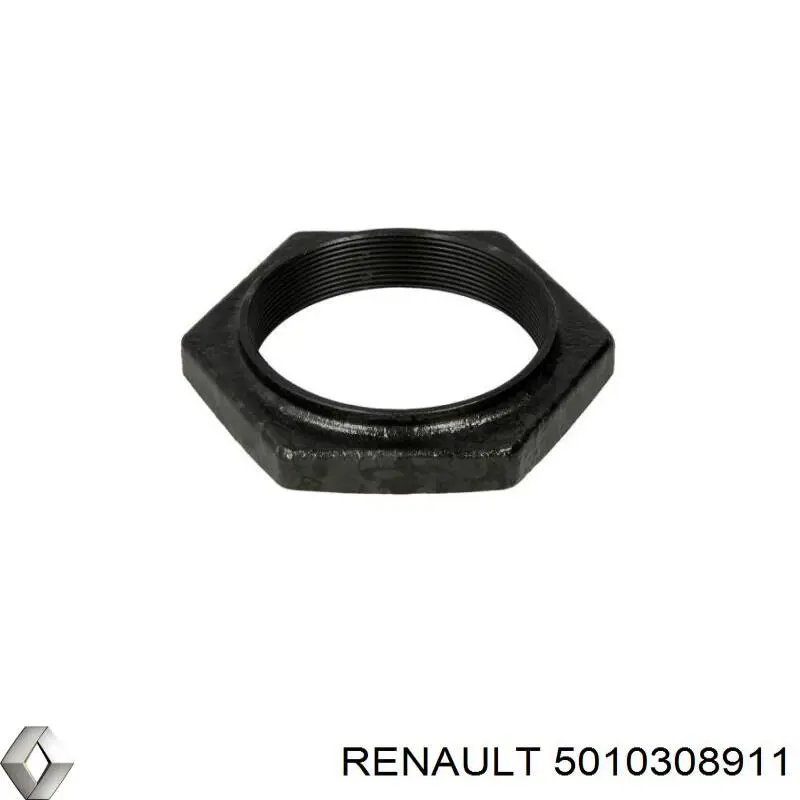 Купити 5010308911 Renault (RVI) 