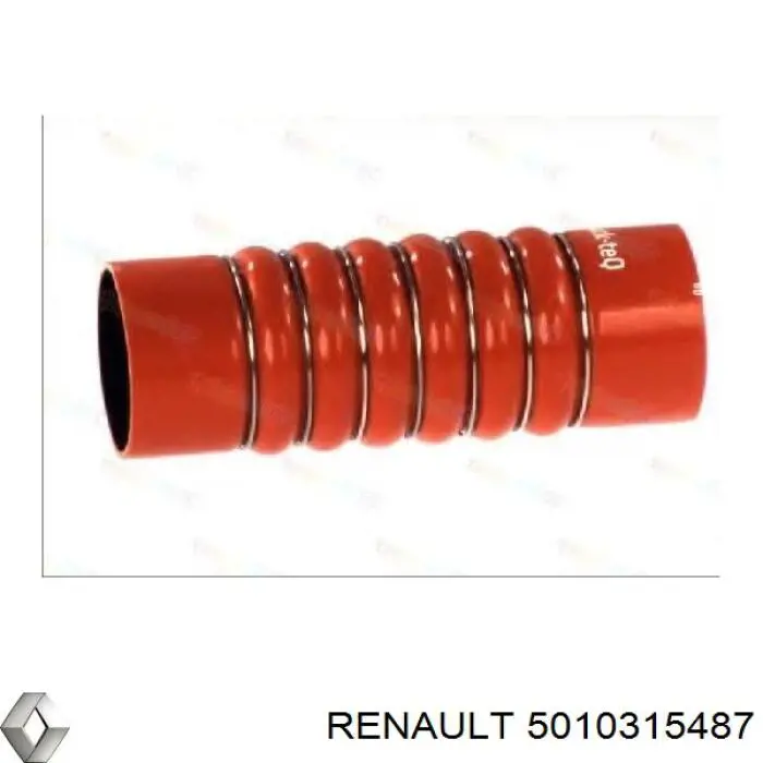 Шланг/патрубок интеркуллера 5010315487 Renault (RVI)