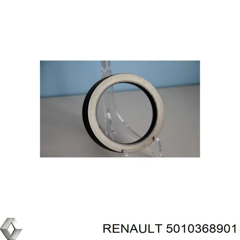 Сальник задньої маточини 5010368901 Renault (RVI)