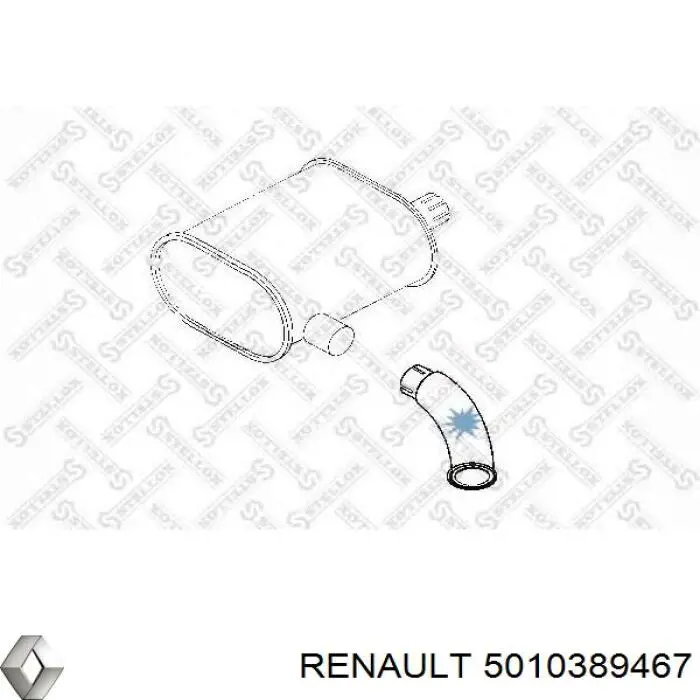 Глушник, задня частина 5010389467 Renault (RVI)