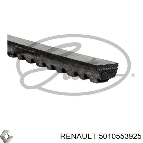 5010553925 Renault (RVI) Поліклиновий ремінь