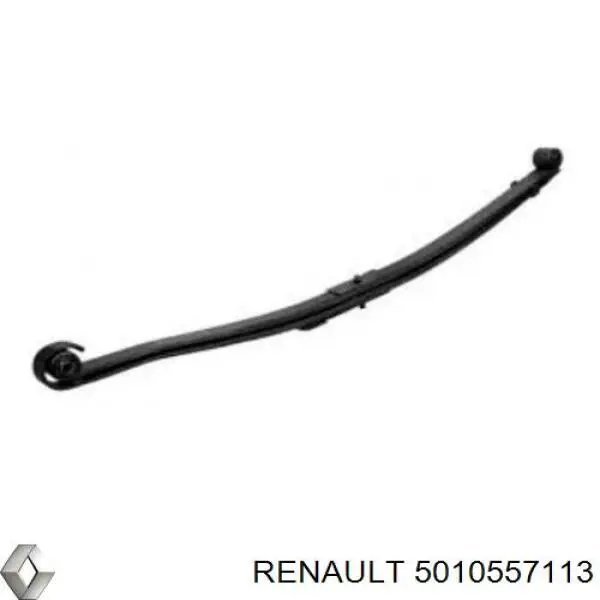  5010557113 Renault (RVI)